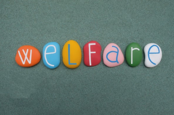 Welfare